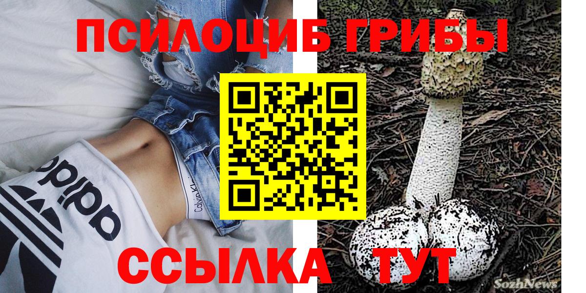 Зеленокумск  Галлюциногенные грибы Psilocybe  Вход с VPN  как найти закладки  Галлюциногенные грибы Psilocybe 
